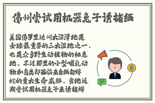 女儿国3在线观看免费版高清